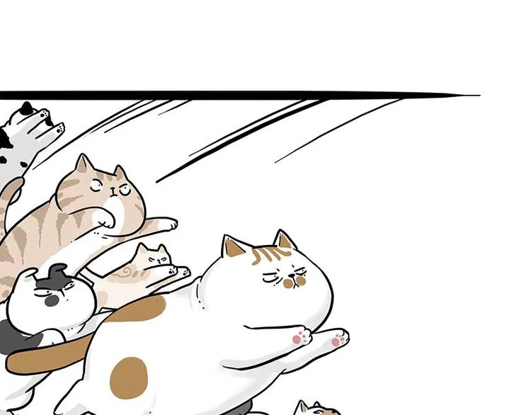 吾皇巴扎黑全集漫画,第271话 进击的流浪猫！2图