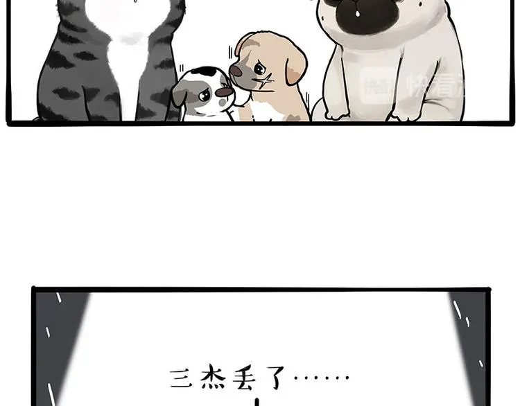 吾皇巴扎黑音乐盲盒漫画,第267话 不让你流浪4图