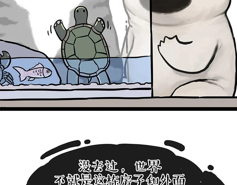 吾皇巴扎黑音乐盲盒漫画,第299话 真假虚实3图