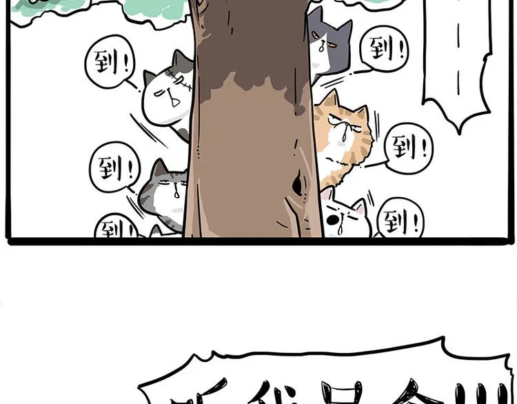 吾皇巴扎黑全集漫画,第271话 进击的流浪猫！2图