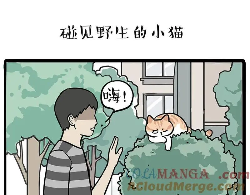 吾皇巴扎黑盲盒漫画,第429话 偷感5图