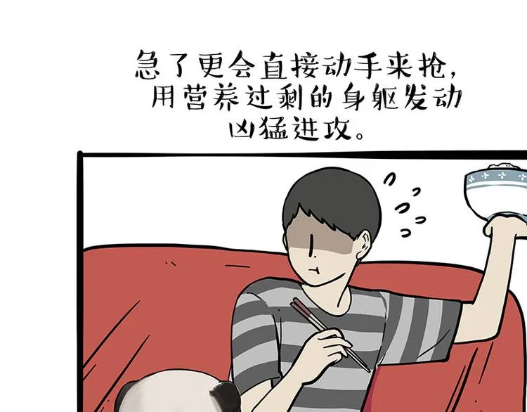 吾皇巴扎黑漫画,第253话 与狗争饭4图