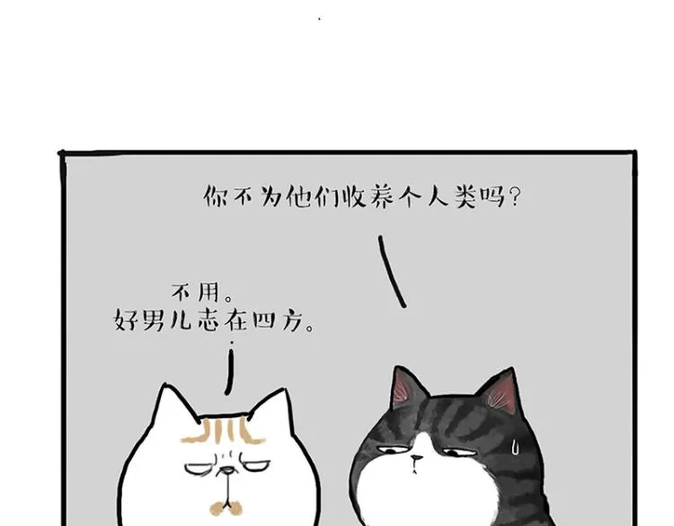 吾皇巴扎黑音乐盲盒漫画,第291话 好兄弟，一辈子2图