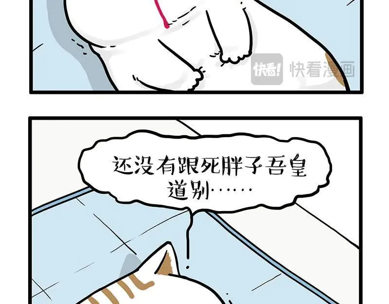 吾皇巴扎黑漫画漫画,第441话 不要出卖老大！4图