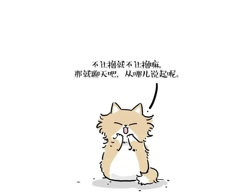 第424话 话痨小猫4