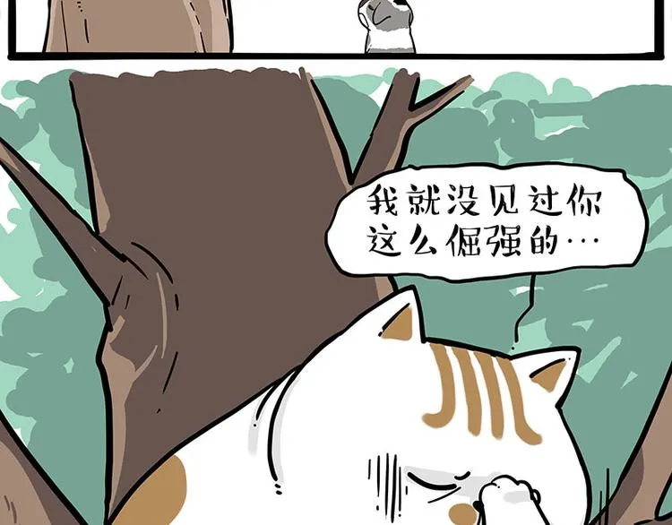 吾皇巴扎黑漫画,第271话 进击的流浪猫！5图