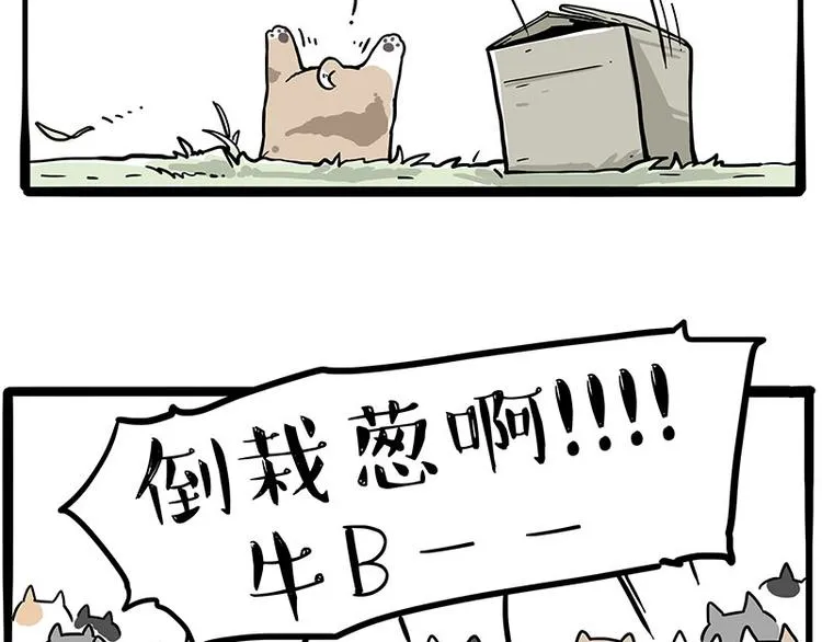 吾皇巴扎黑超话漫画,第272话 一定会再见1图