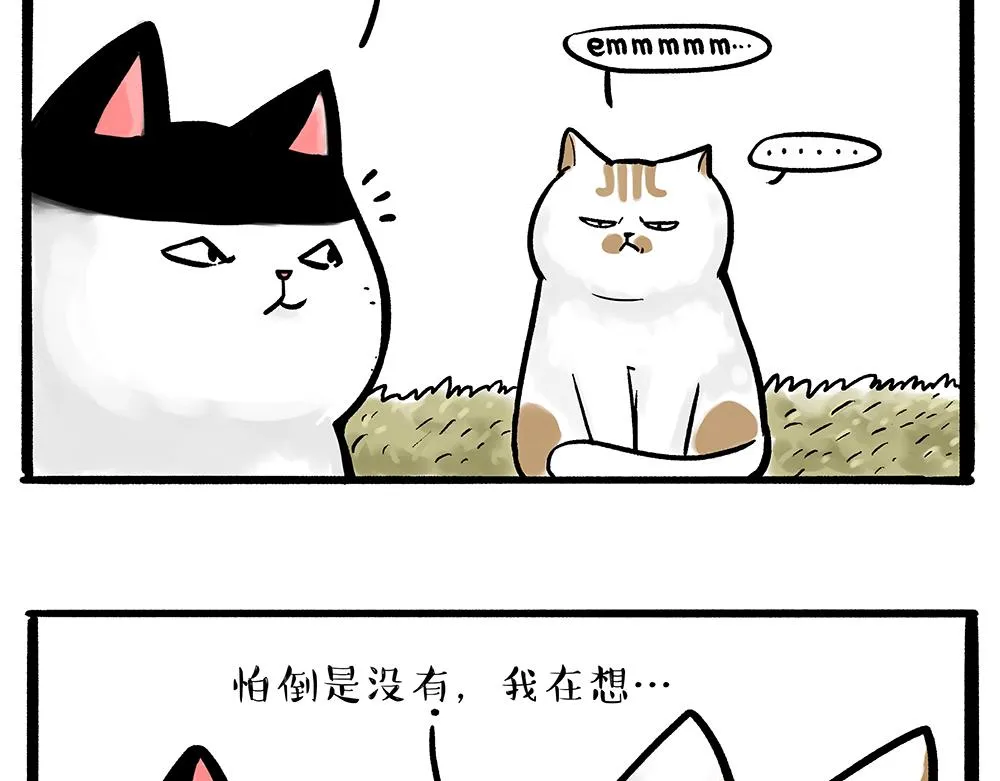 吾皇巴扎黑漫画,第331话 猫王争霸之“杀青”5图