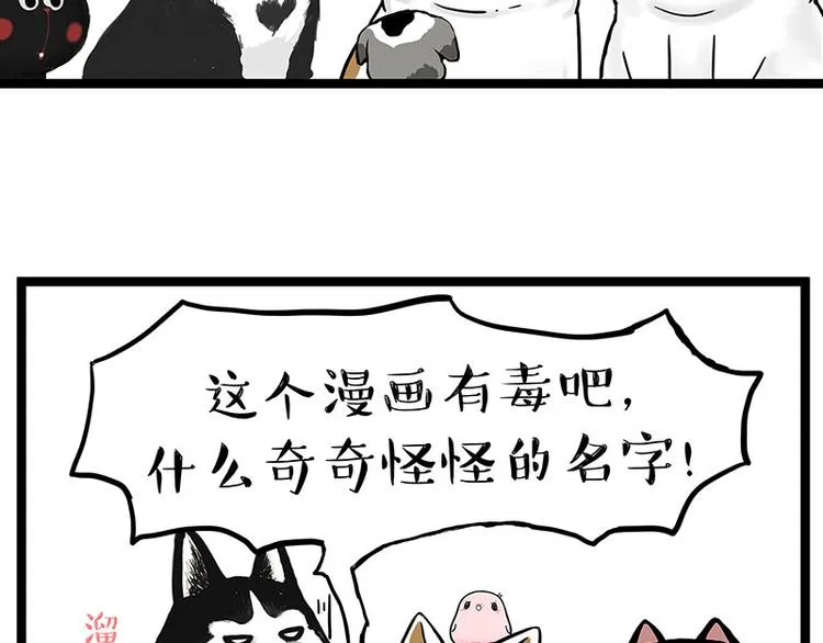 吾皇巴扎黑漫画,第269话 跟我回家吧3图