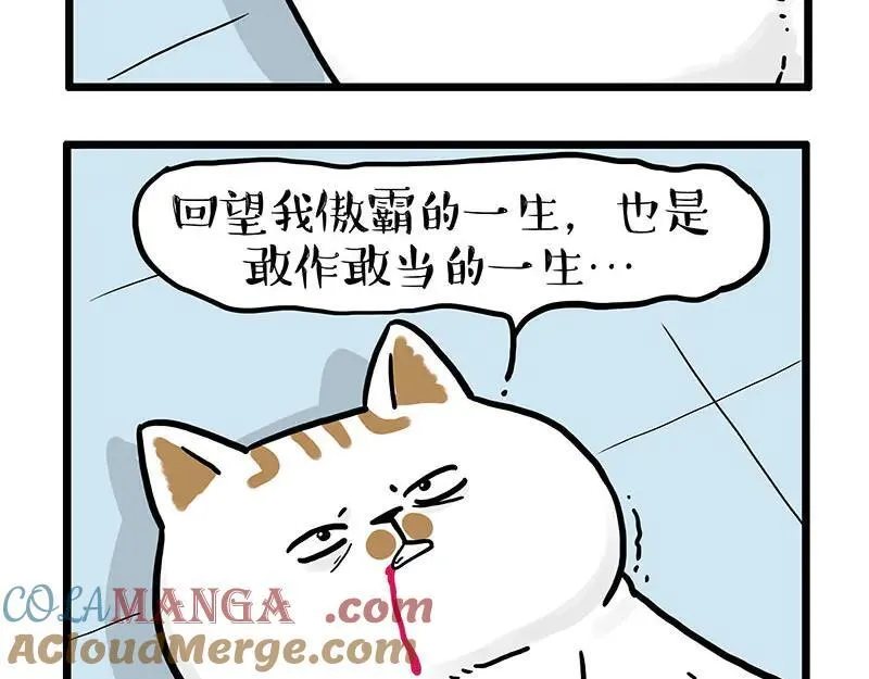 吾皇巴扎黑漫画漫画,第441话 不要出卖老大！2图