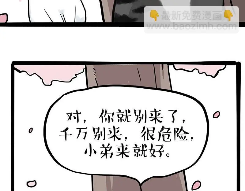 吾皇巴扎黑全集漫画,第323话 春日恋情？！5图