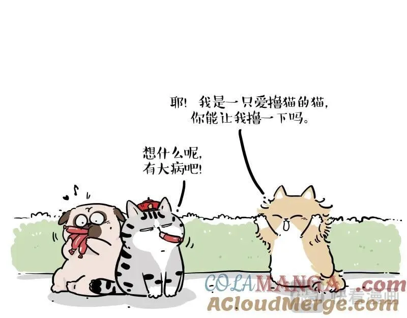 第424话 话痨小猫2