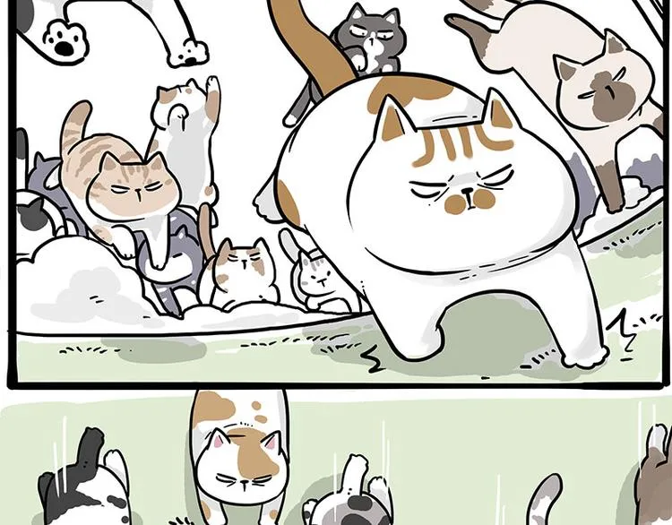 吾皇巴扎黑全集漫画,第271话 进击的流浪猫！4图