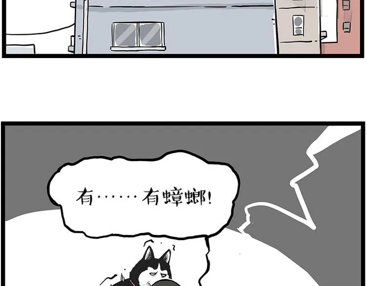 吾皇巴扎黑简介漫画,第261话 灭蟑？5图