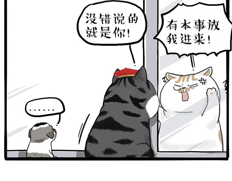 吾皇巴扎黑图片漫画,第269话 跟我回家吧5图