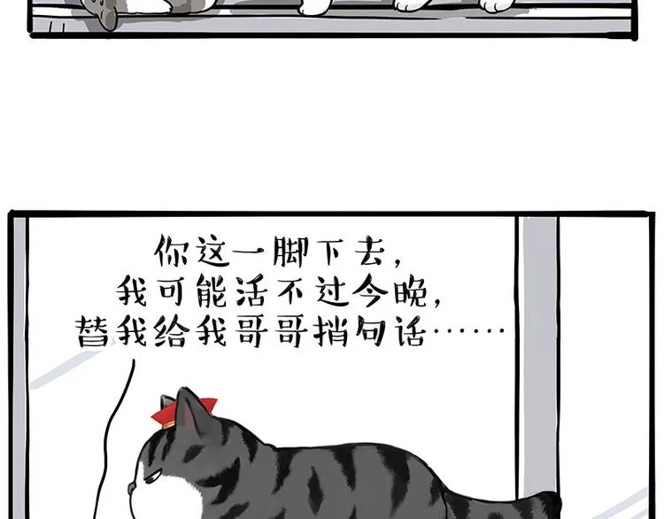 吾皇巴扎黑图片漫画,第269话 跟我回家吧3图