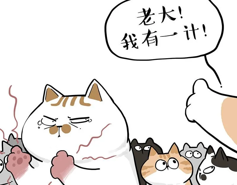 吾皇巴扎黑环游世界盲盒漫画,第320话 猫孵鱼1图