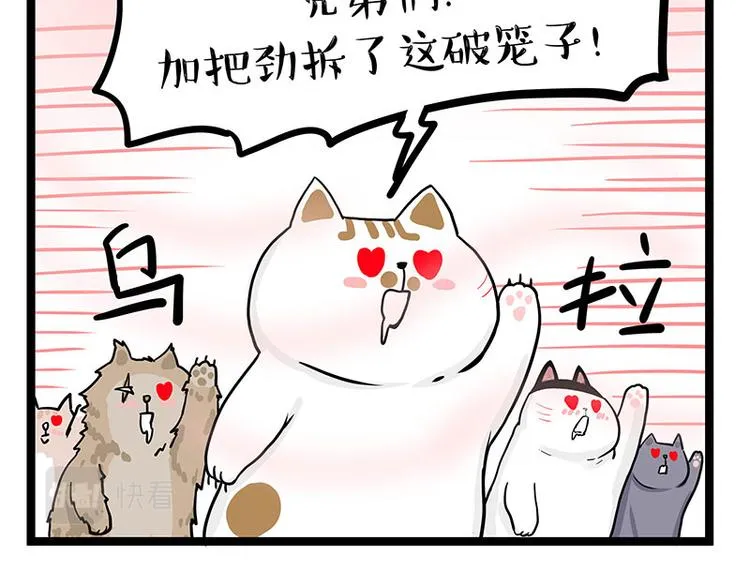 吾皇巴扎黑表情包漫画,第284话 美喵竟是我自己3图