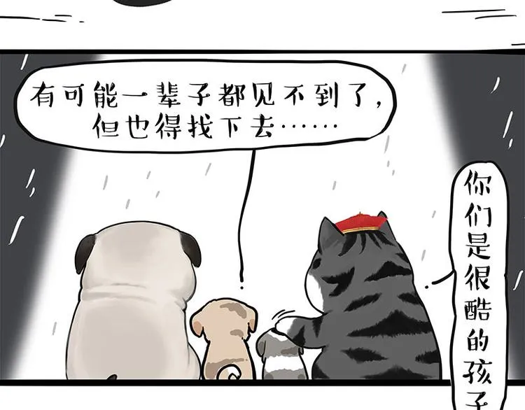 吾皇巴扎黑音乐盲盒漫画,第267话 不让你流浪1图