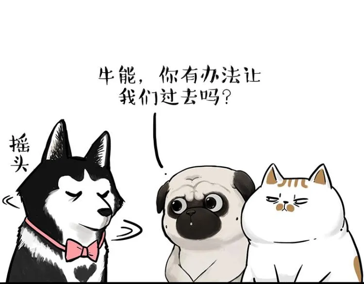 吾皇巴扎黑漫画大中华史2漫画,第294话 教狗游泳难度爆棚2图