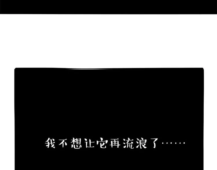 吾皇巴扎黑音乐盲盒漫画,第267话 不让你流浪5图