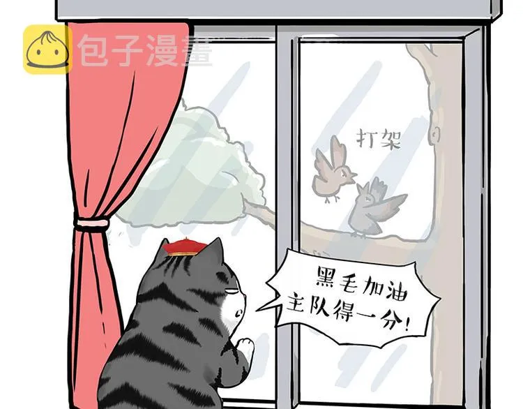 吾皇巴扎黑人物介绍漫画,第260话 孤独解药4图