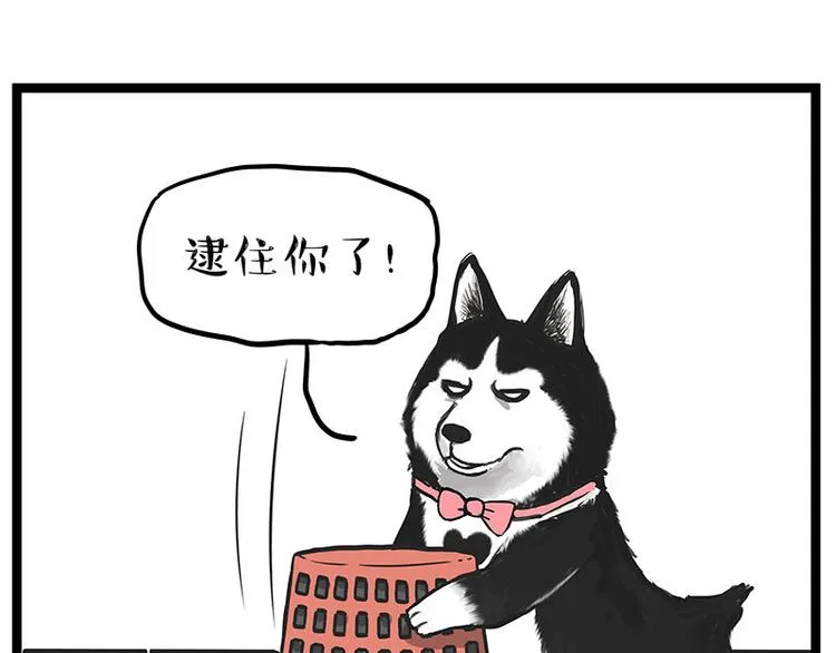 吾皇巴扎黑简介漫画,第261话 灭蟑？4图