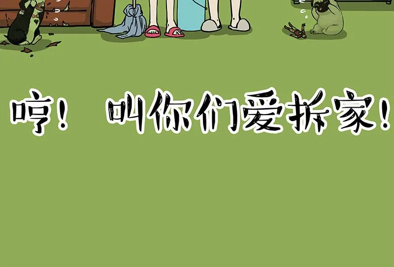 吾皇巴扎黑动画漫画,第297话 无处不在拦路猫4图