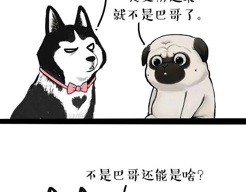 吾皇巴扎黑动画漫画,第297话 无处不在拦路猫2图