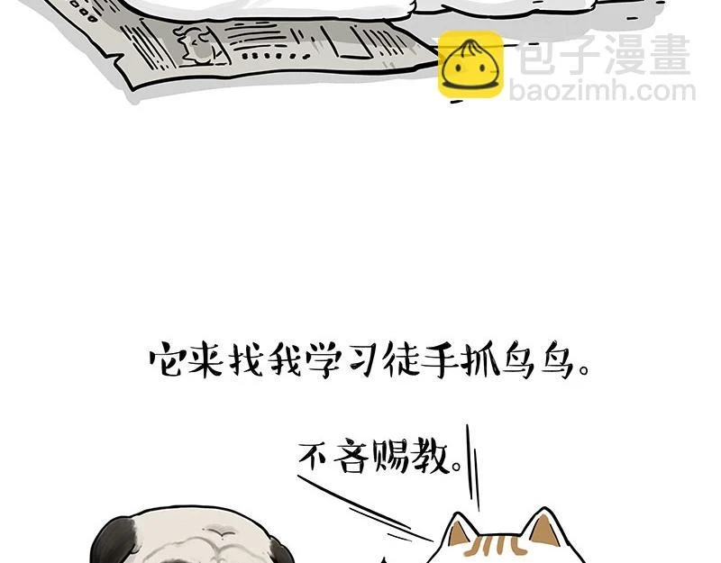 吾皇巴扎黑高清壁纸漫画,第365话 “神犬”巴扎黑5图