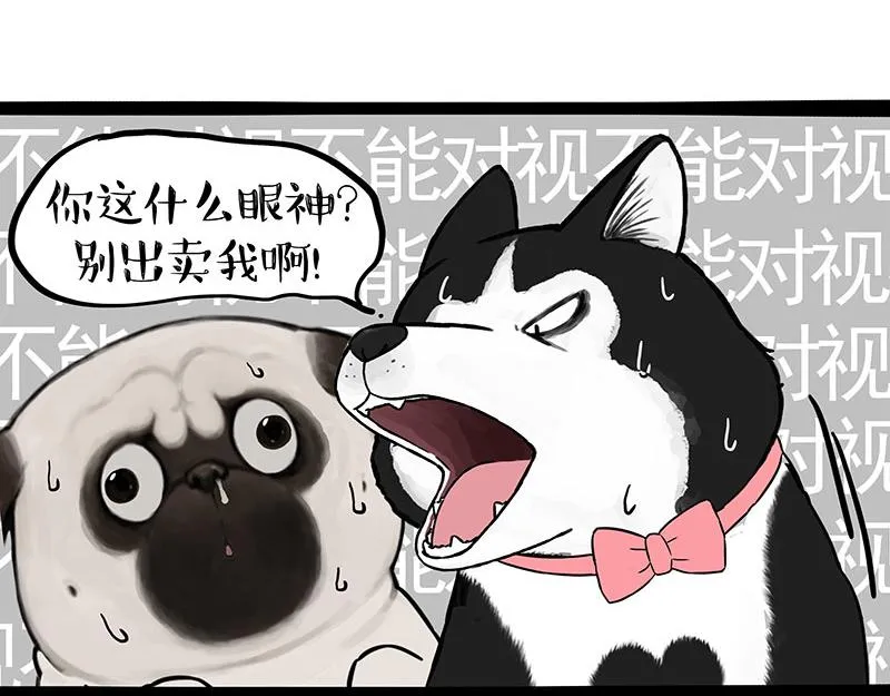 吾皇巴扎黑漫画,第375话 偶遇恶犬5图