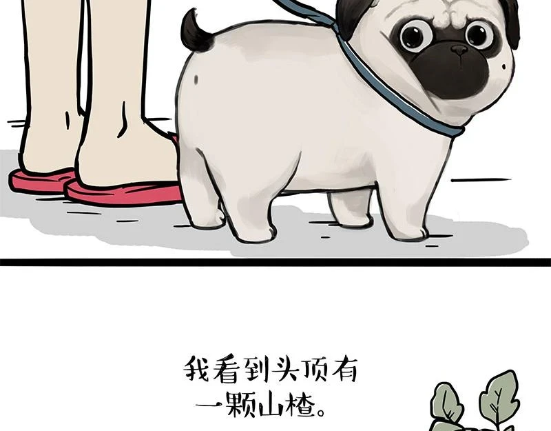 吾皇巴扎黑漫画,第365话 “神犬”巴扎黑3图