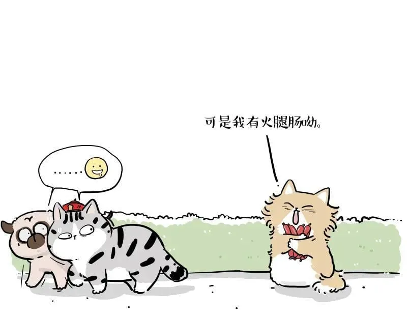 吾皇巴扎黑漫画,第424话 话痨小猫4图