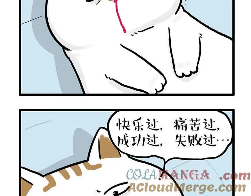 吾皇巴扎黑漫画漫画,第441话 不要出卖老大！4图