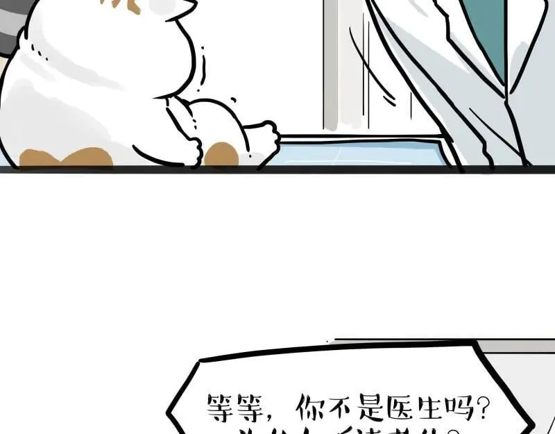 吾皇巴扎黑漫画,第443话 “癫疯”对决5图