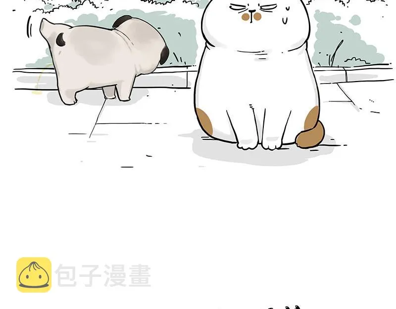 吾皇巴扎黑漫画,第317话 社交密码4图