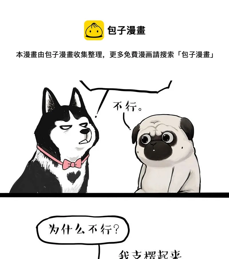 吾皇巴扎黑动画漫画,第297话 无处不在拦路猫1图