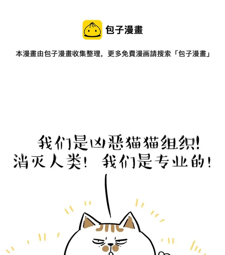 吾皇巴扎黑漫画,第290话 凶恶猫猫组织1图