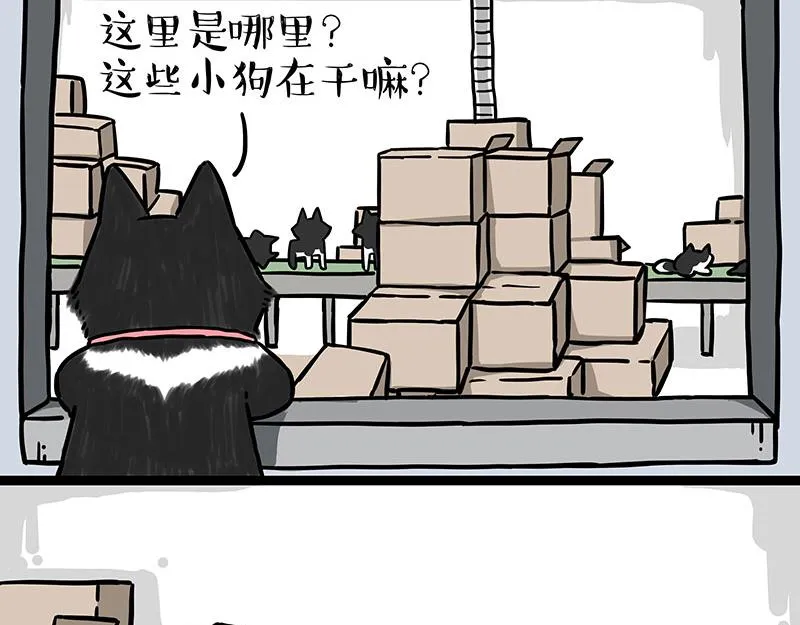 吾皇巴扎黑漫画,第304话 你是真的狗3图