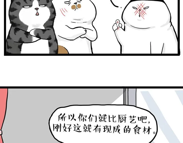 第277话 猫斗猫2