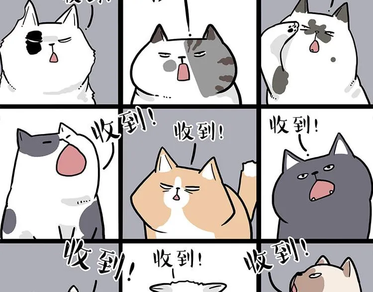 吾皇巴扎黑全集漫画,第271话 进击的流浪猫！5图