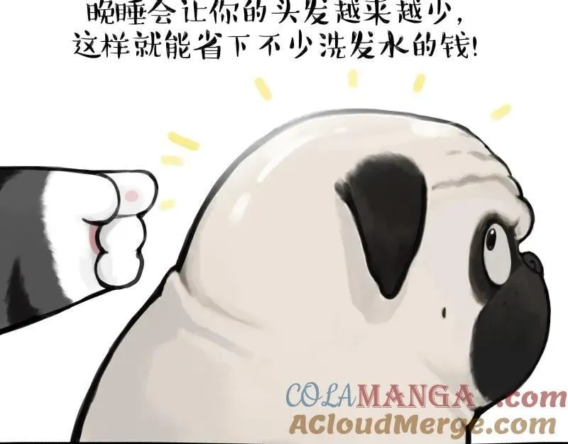 吾皇巴扎黑图片漫画,第431话 老大和老大？4图