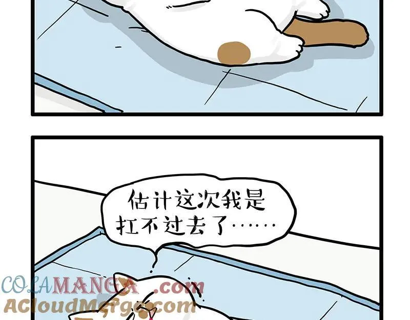 吾皇巴扎黑漫画,第441话 不要出卖老大！3图