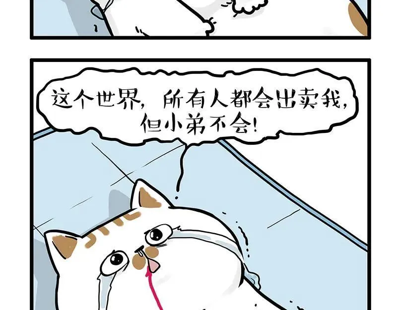 吾皇巴扎黑漫画漫画,第441话 不要出卖老大！3图