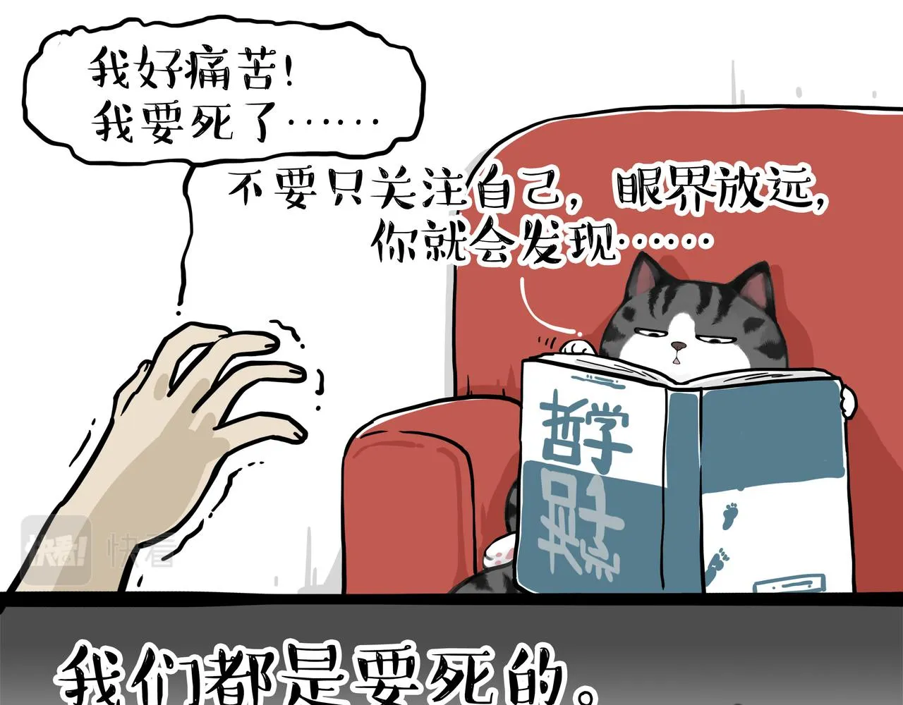 吾皇巴扎黑漫画,第355话 一起回家5图