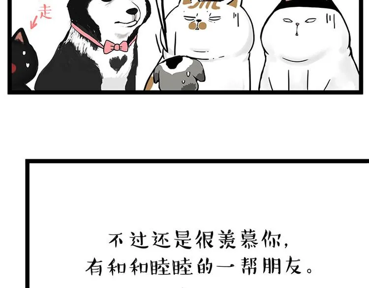 吾皇巴扎黑漫画,第269话 跟我回家吧4图