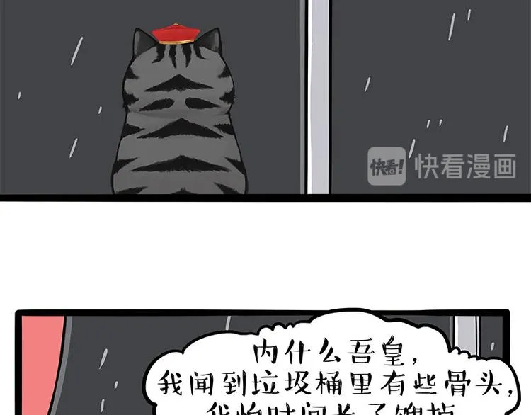 吾皇巴扎黑白茶漫画,第265话 雨夜“惊魂”3图