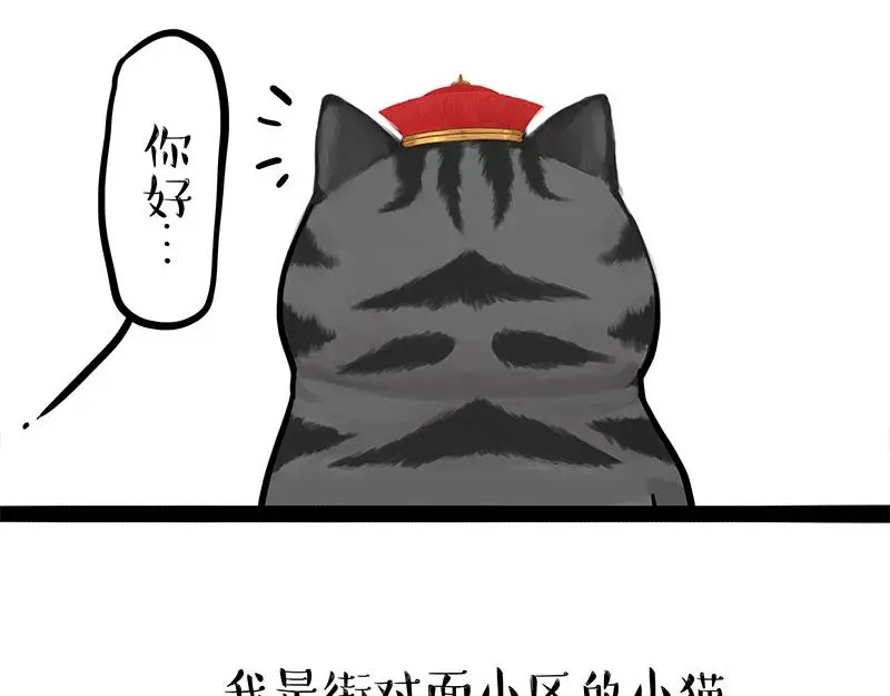 吾皇巴扎黑原型漫画,第323话 春日恋情？！5图