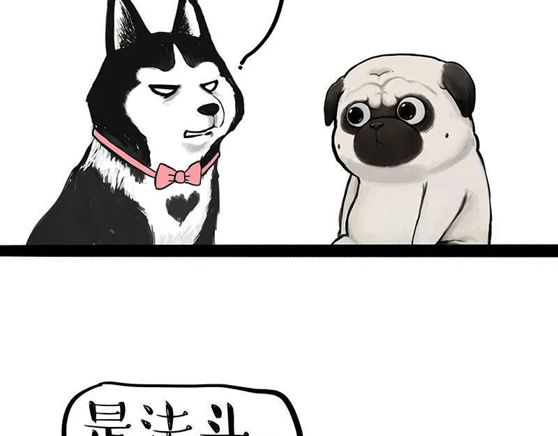 吾皇巴扎黑动画漫画,第297话 无处不在拦路猫3图