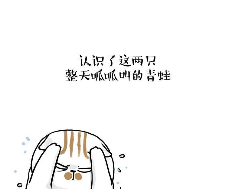 吾皇巴扎黑动画漫画,第339话 傲霸，上岸了！4图